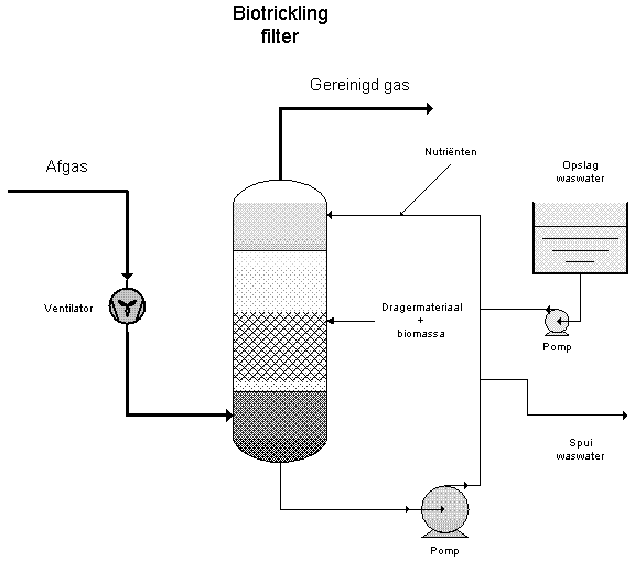 Biotricklingfilter 1