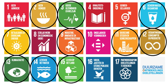 Afbeelding met iconen van alle 17 SDG-doelen