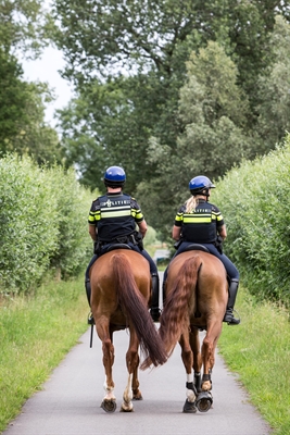 Twee agenten te paard