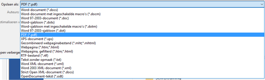 Printscreen van 'Opslaan als pdf'