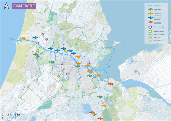 Conncectiviteit. De kaart toont een overzicht van gerealiseerde vispassages en resterende knelpunten voor vismigratie langs het Noordzeekanaal en aangrenzende gebieden. Voor 30 locaties waar een maatregel genomen is, is aangegeven of de connectiviteit goed, niet optimaal, slecht of onbekend is. Daarnaast is er aangegeven waar een kans op een maatregel ligt en waar deze al gepland staan. De beschrijvende tabel van deze kaart is opgenomen in Bijlage 1 van het rapport Habitat en connectiviteit voor vis in Noordzeekanaal en ommelanden.
