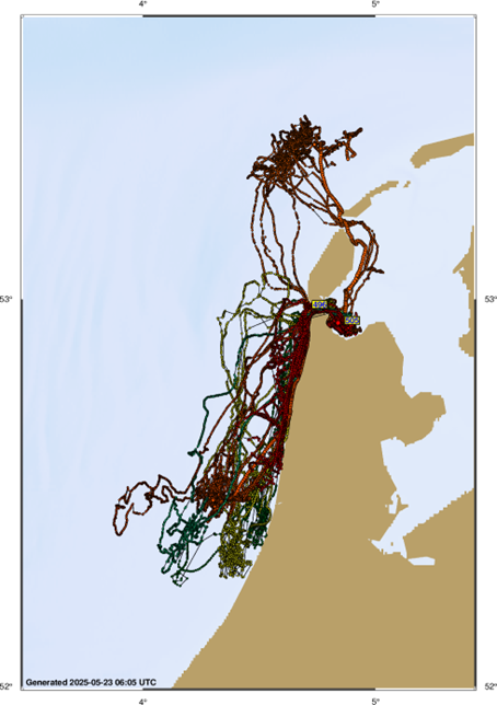 Kaart met uitsnede van Nederland met daarop een deel van de Nederlandse kust, Texel, Vlieland, Terschelling en het IJsselmeer. De tracks van 6 zeehonden zijn te zien als een kluwen lijnen voor de kust van Noord-Holland, rond Texel en boven Vlieland.