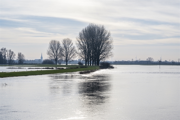 Foto van een landschap met hoogwater en enkele bomen. In de verte is een kerk zichtbaar.