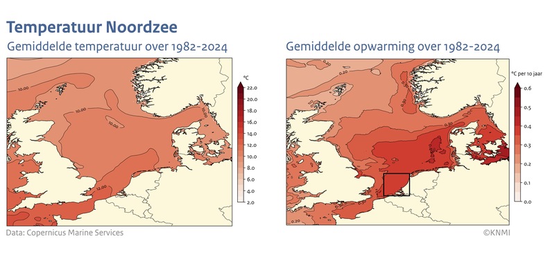 Kaart met in kleur de gemiddelde temperatuur van de Noordzee in de periode 1982=2024 en met de opwarming over die periode