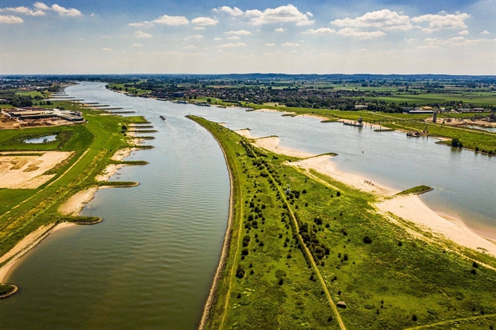 Rijn